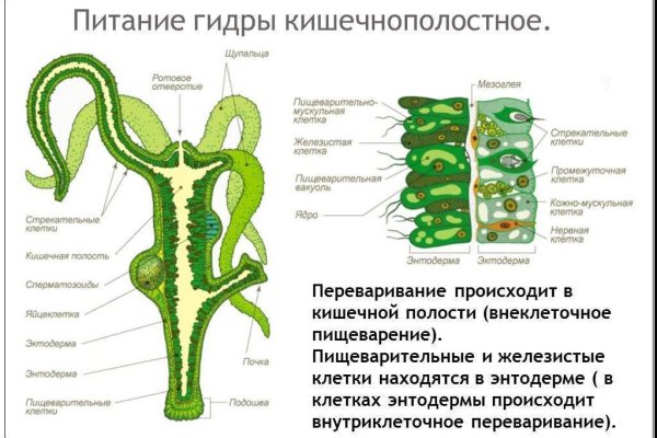 Площадка кракен 2krnk biz